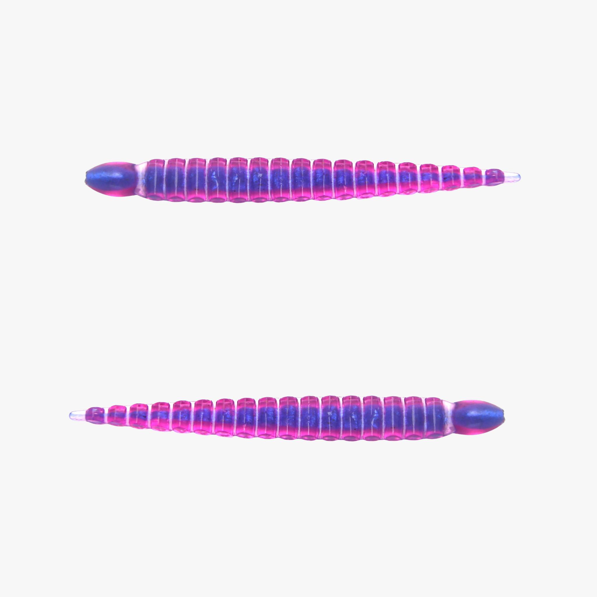 Custom Leech